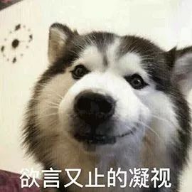 文章配图-5