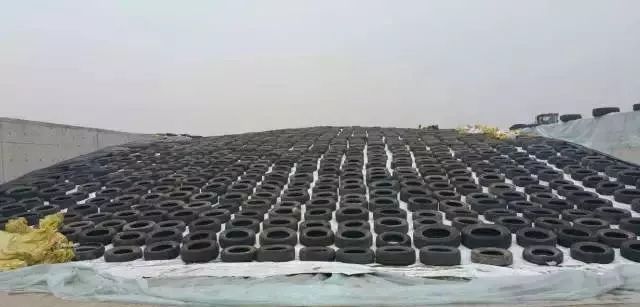 马记成青贮玉米压窖现场的管理要点