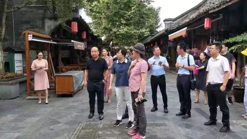 文旅大邑丨四川省文化和旅游厅专家组到我县指导天府旅游名县创建工作