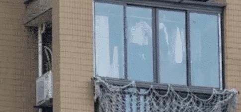                     为保护孩子装了张“网”，到头来却方便了邻居？