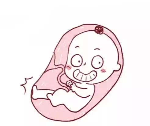 机灵的胎宝宝做彩超爱做鬼脸