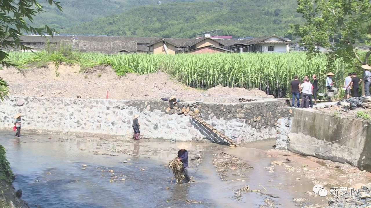 8月20日,记者在白沙镇小吉村穿村而过的小吉溪看到,经过前几次的河道