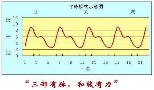 辨别八种重要脉象看完这篇就可以了