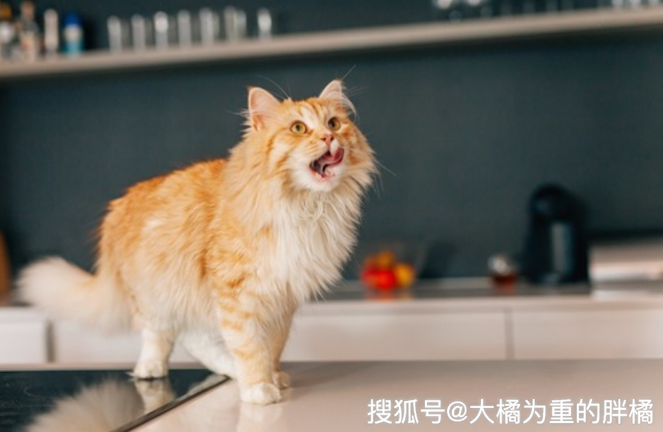 a3dc70057e9c49d2811455ccdd6b7890.png