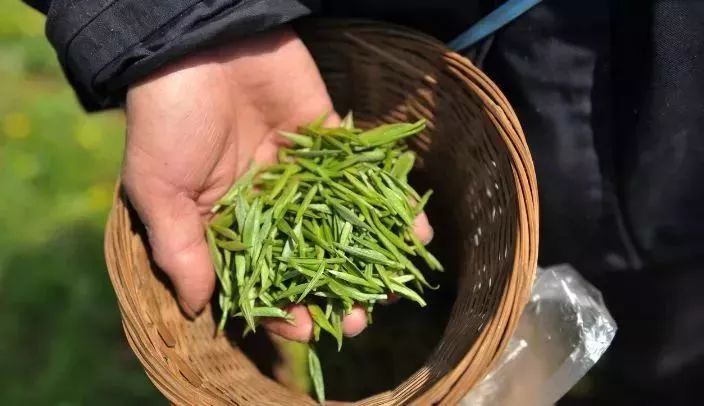 让您轻松买好茶~_茶叶