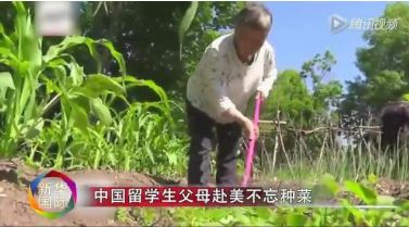 沙漠人口饥饿_饥饿人口