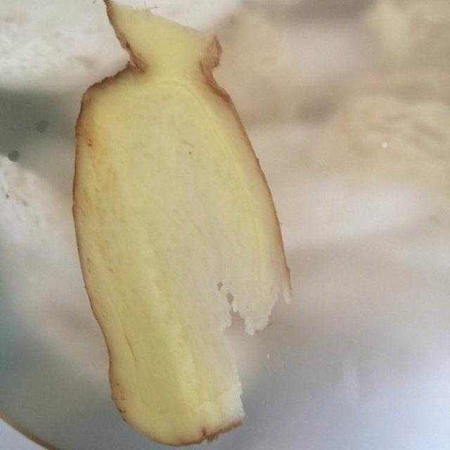 b02447d1923a46658a37fce41981e152.jpeg