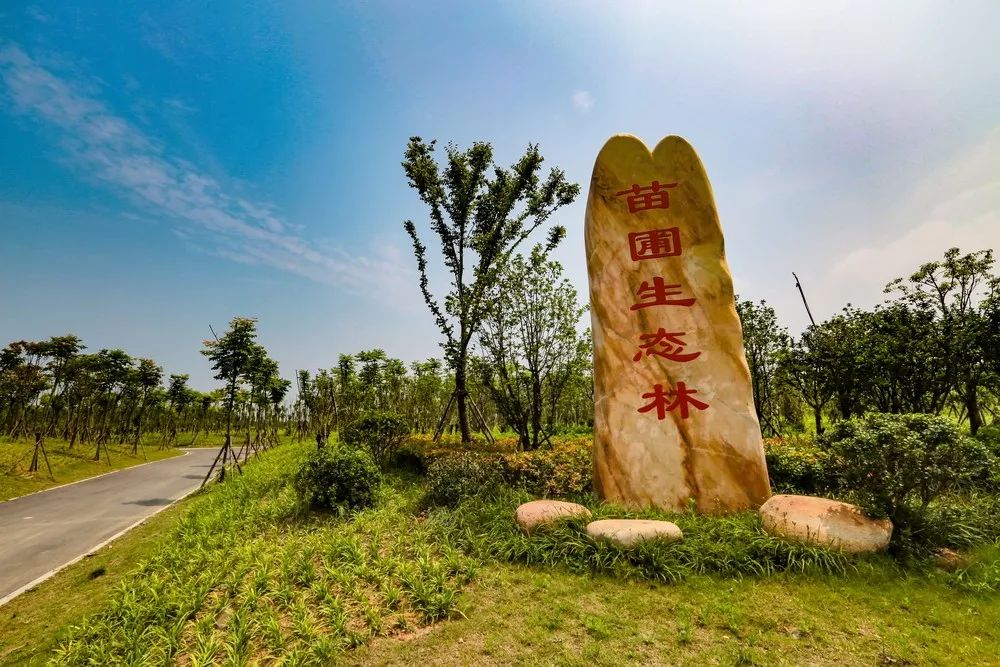 文明之花常开高新这里为何聚集了全市最多的高新技术