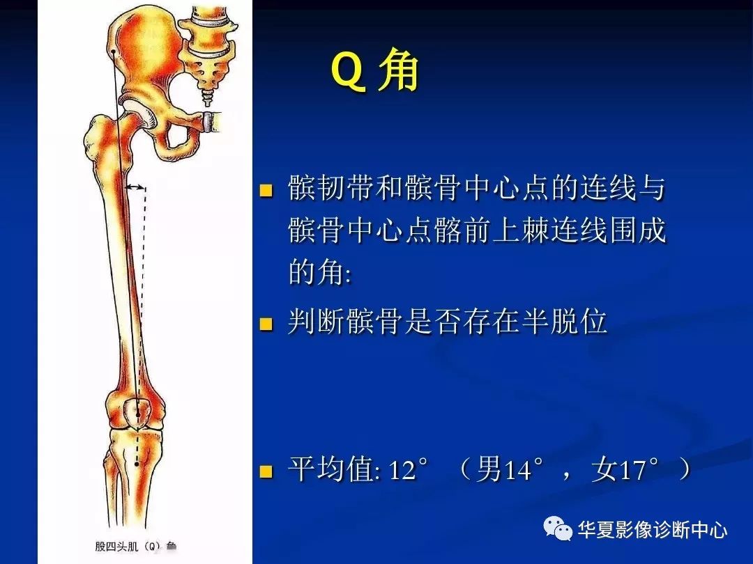 超全丨膝关节解剖基础