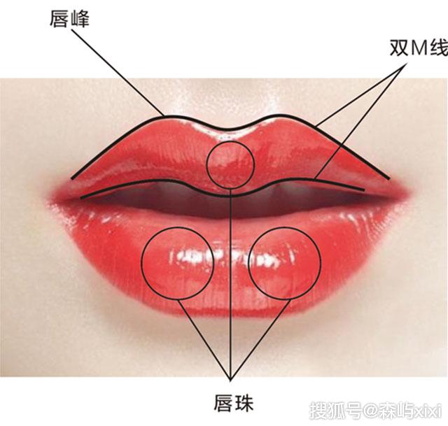 带唇珠的m唇 m唇俗称"美人唇" 属于标准的好看唇形之一 m唇的上嘴唇