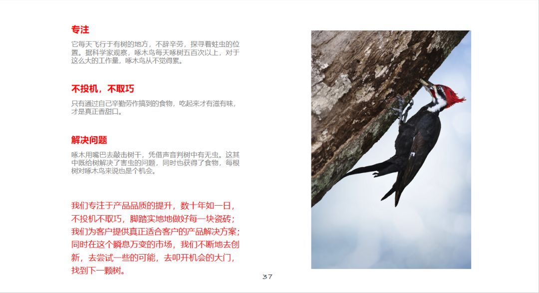 文案换曲谱_微信换头像朋友圈文案(3)