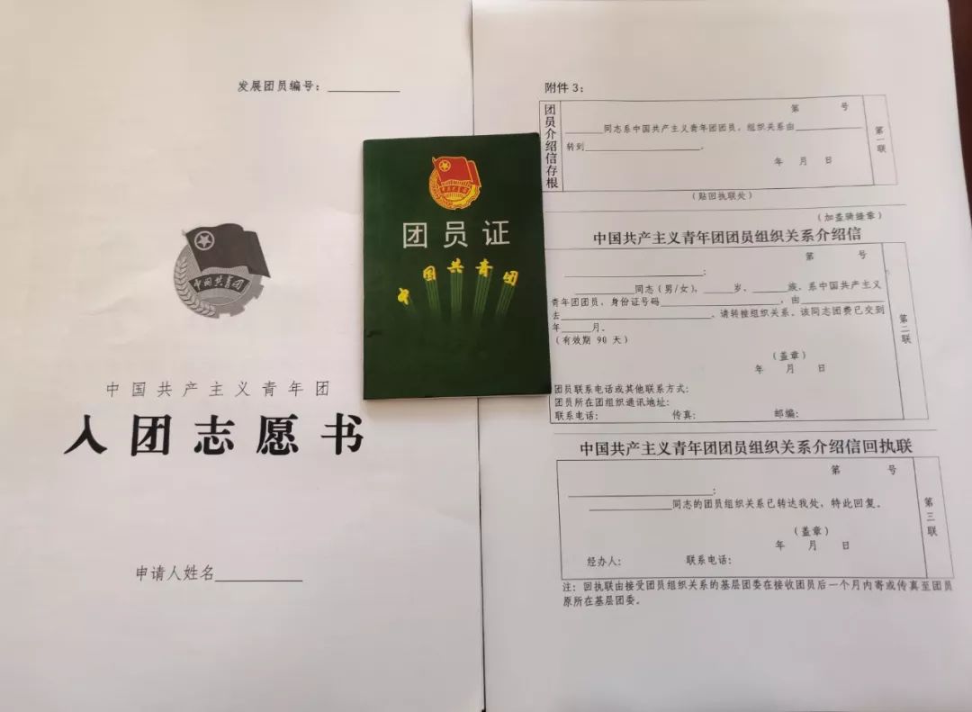 入团申请书,入团志愿书,团员证以及团组织关系介绍信或证明材料