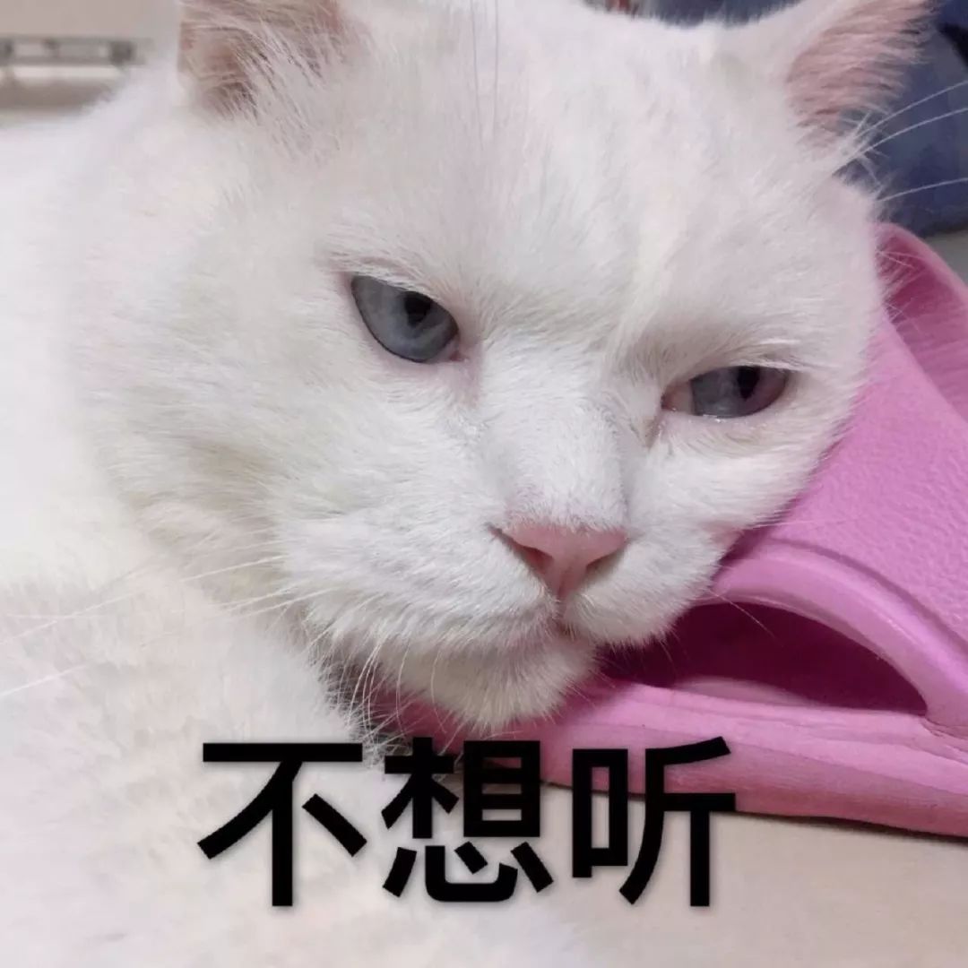c6dfe51bcb954b4d98b7fb4bd8852cc9.jpeg