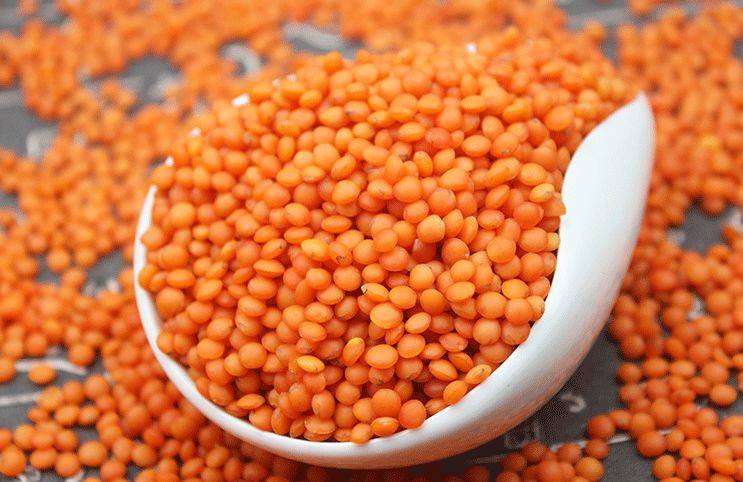 红扁豆:越小越有料,优质蛋白还补铁,速看食谱吃起来!