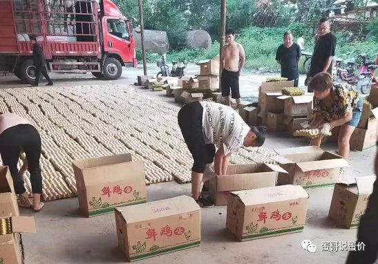 2020上半年河南县域g_河南地图(2)