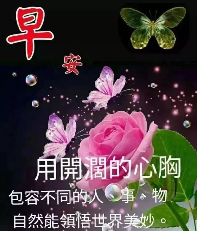 适合群发早上好动态图片带字和鲜花新版清晨动画问候图片