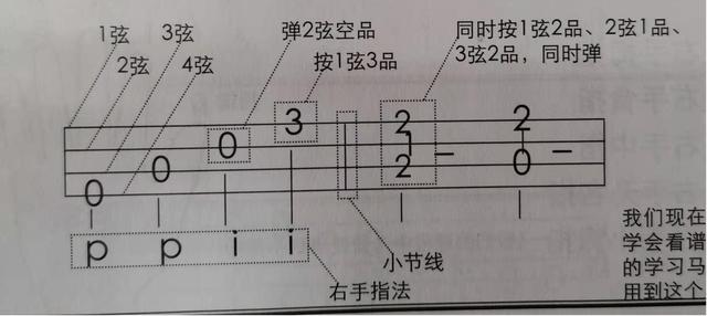 四线谱即是由四条线构成的简谱,从上到下分别代表尤克里里的一弦