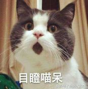 热点新闻 英文_本周新闻热点英文_新闻热点英文短文