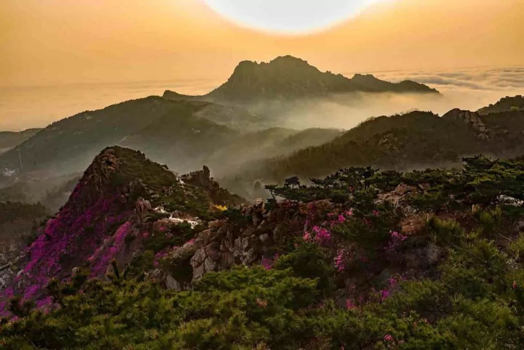 有声读物丨凭海临风的小珠山