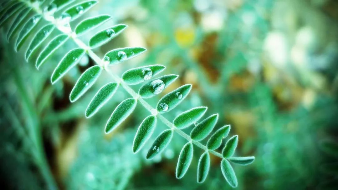 什么时候天气转凉一点 01b284cce5194467881bb68633c73414.jpeg