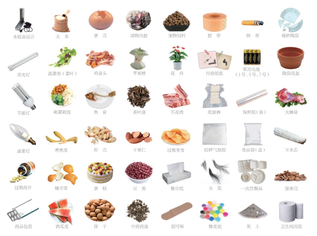 你学会垃圾分类了吗?