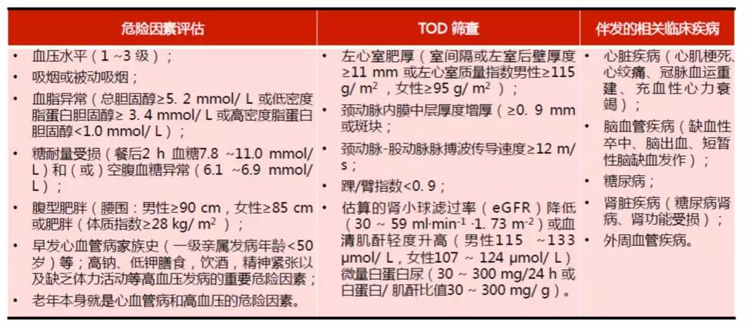 原创张新军:老年高血压的心血管风险评估