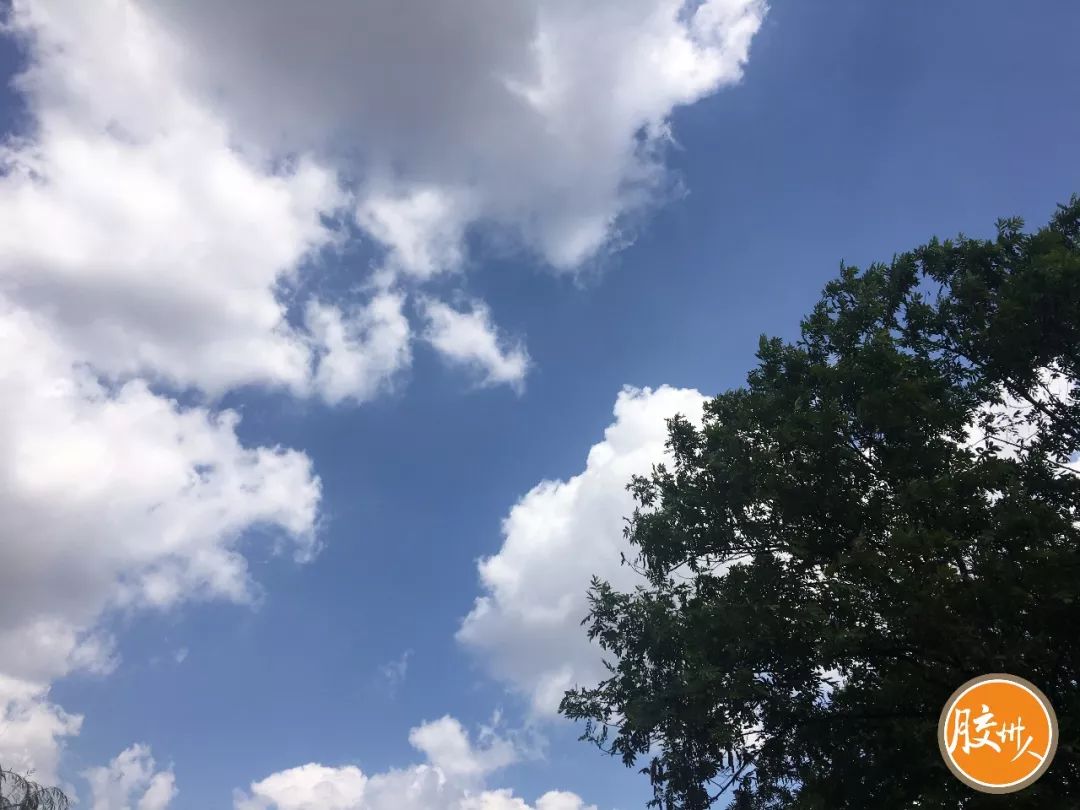 今天的胶州怎么了?朋友圈全都在发这个.