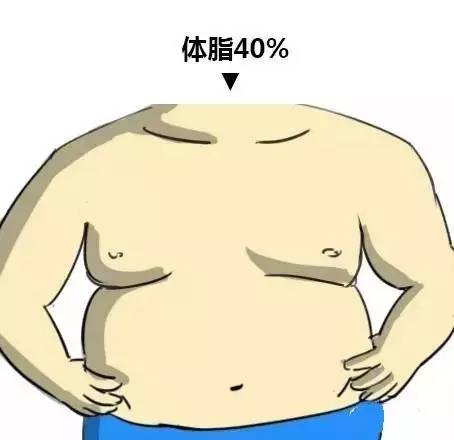 男女体脂多少才可以看见腹肌？