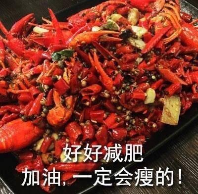 美食减肥表情包合集好好减肥加油一定会瘦的