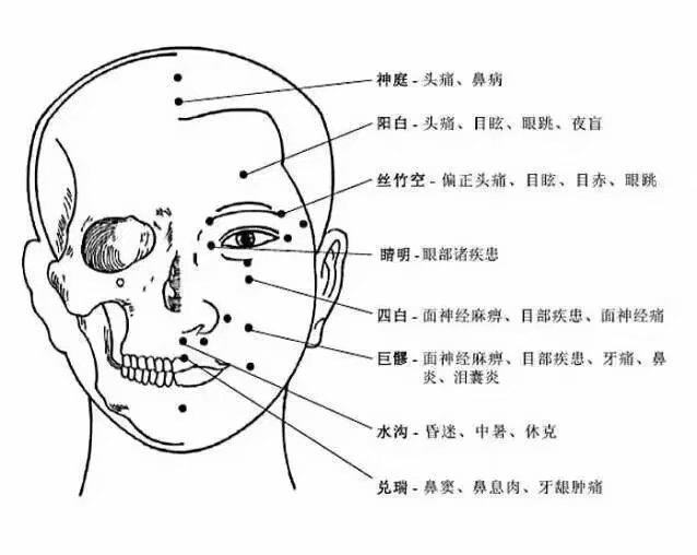 牙痛,下颌肿痛,面部浮肿 神庭穴:治疗头痛,鼻病 阳白穴:治疗头痛,目眩