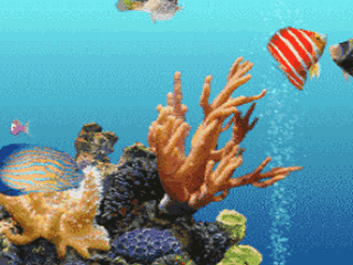2a91e3c5c1104bdd9ec341e3139368a0.gif