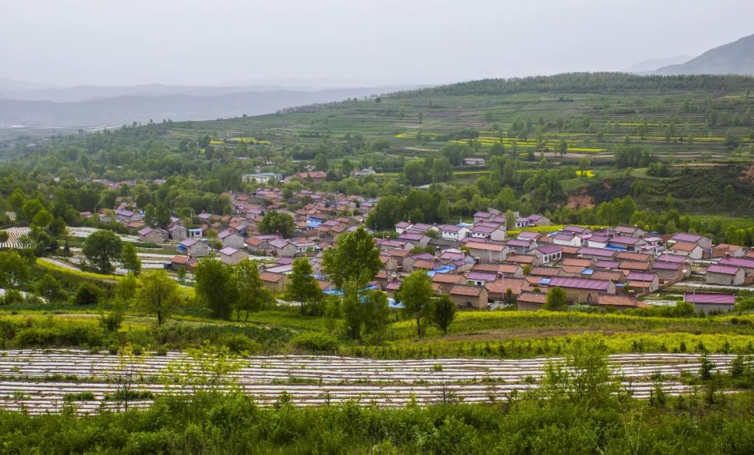 拍摄时间:2019年5月30日 拍摄地点:泾河源镇兰大庄村 拍摄地点:泾源