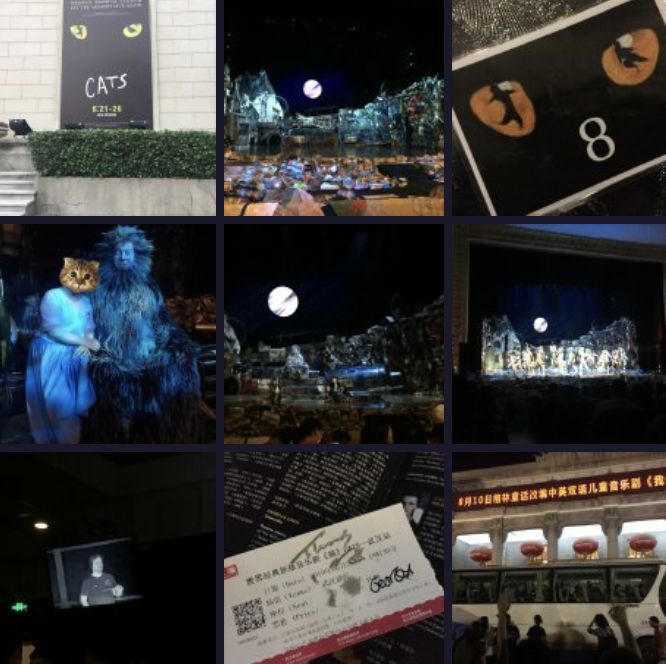 发圈彩虹屁文案都帮你准备好了,你与音乐剧《