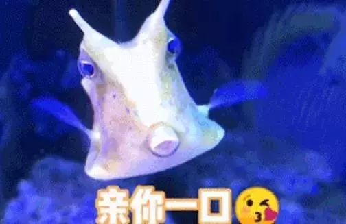 417e40479b654ca7893d77ad89a77b0e.jpeg