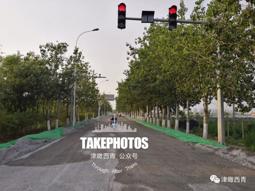杨柳青青沙公路泽杨道津静公路最新消息