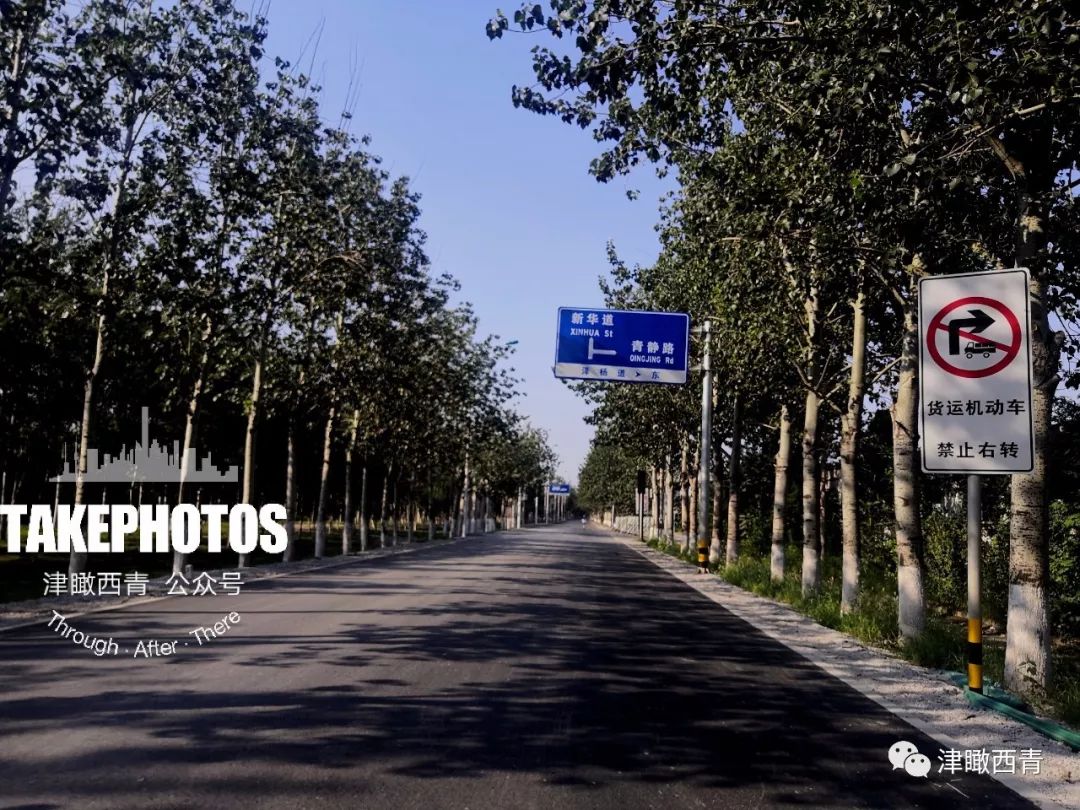 杨柳青青沙公路泽杨道津静公路最新消息