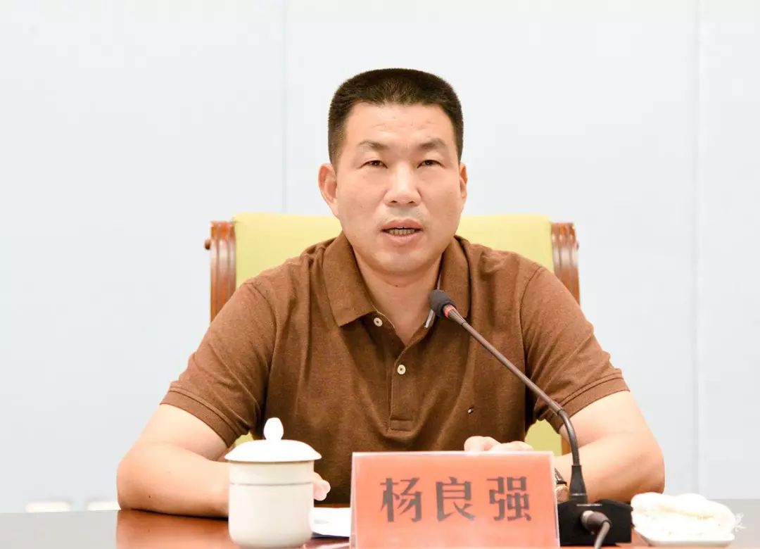 市委常委,宣传部长杨良强指出: 市委全体(扩大)会议暨市政府全体会议