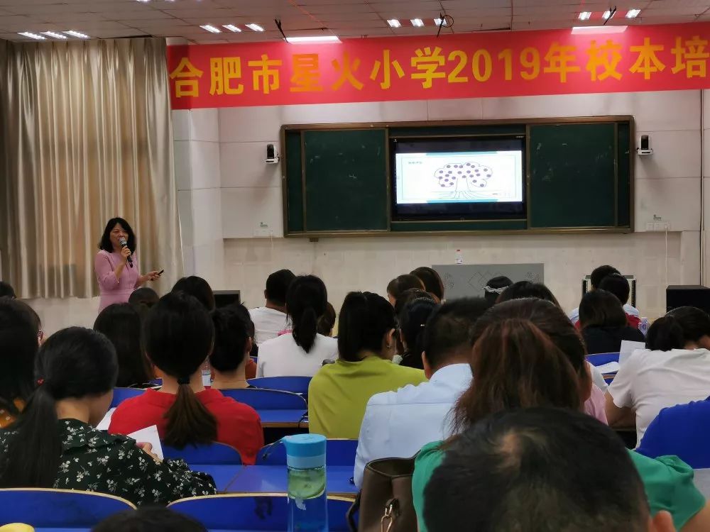 再学习促成长合肥市兴海苑小学2019年暑期校本培训系列报道之二