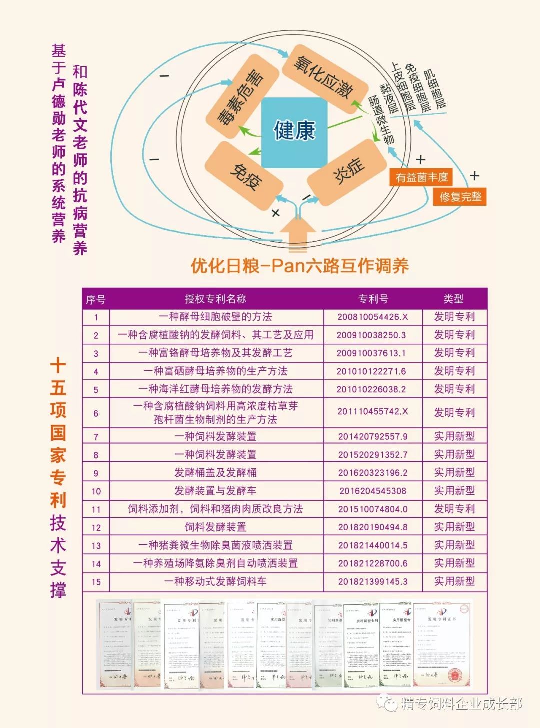 文章配图-3