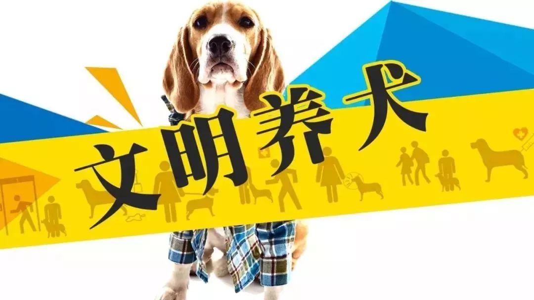 萍乡教程养犬多远,还有之路?锁线订文明图片
