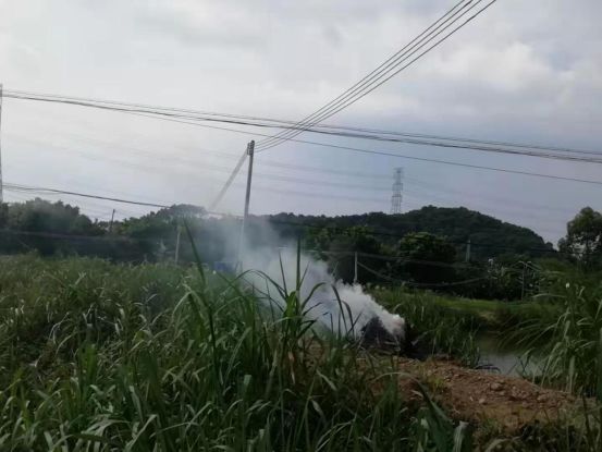 光龙村人口_封丘县留光镇各村人口(2)