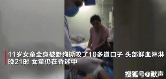                      11岁女孩被恶狗咬伤，全身被咬几十道口子，现场惨不忍睹