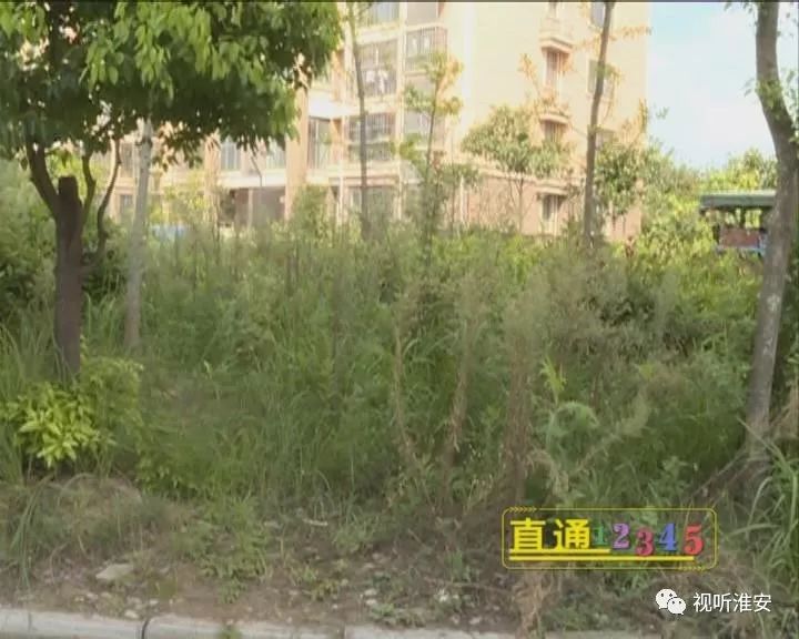 【淮安经济开发区规划建设局办公室 工作人员】