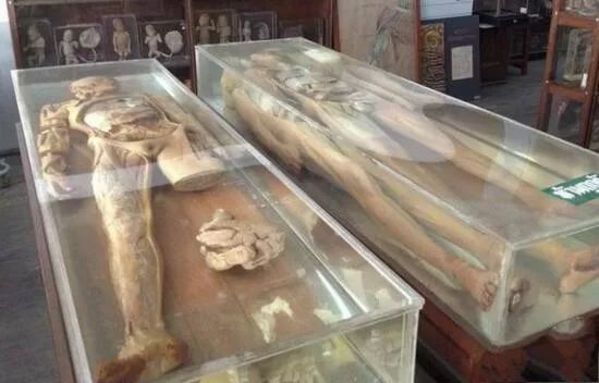 美国有个死亡博物馆,专门用来展示杀人魔头颅.
