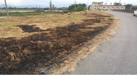 鼎湖区永安镇GDP_我们的节日 鼎湖元宵节活动连连看(2)