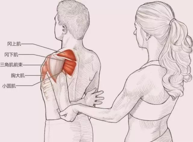 四套肩颈拉伸动作,灵活肩颈预防肩周炎
