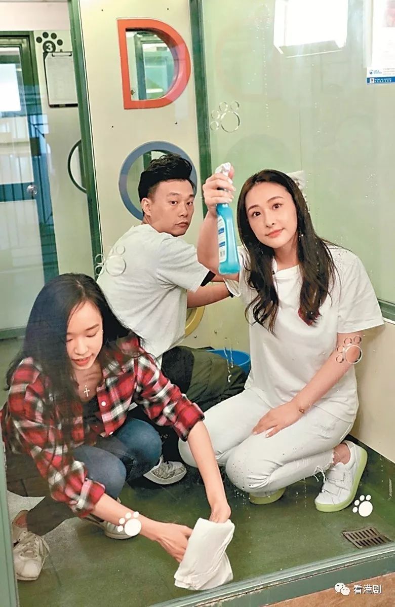 陈滢择偶唔吼西人热选家务男