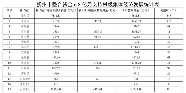 村集体经济资产总量是指_资产负债表(2)