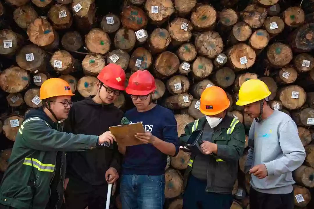 庆祝建国70周年太仓市职工摄影大赛获奖作品出炉啦!