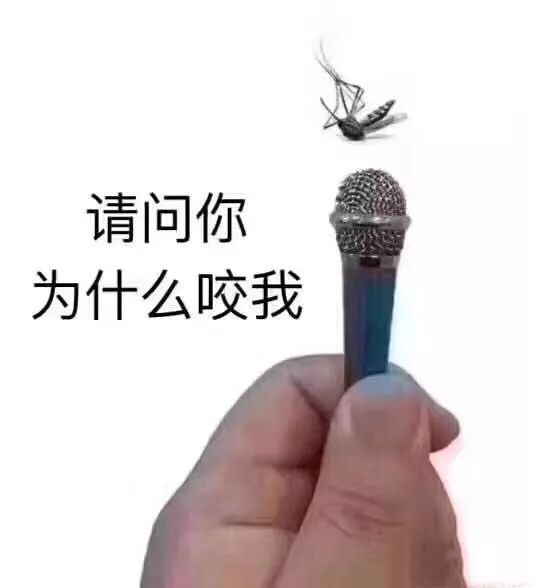 表情包丨请问你为什么咬我_酒味